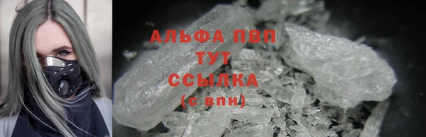 трава Магас