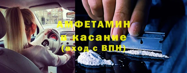 прущие грибы Анива